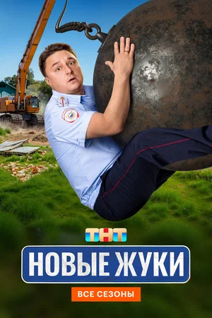 Жуки